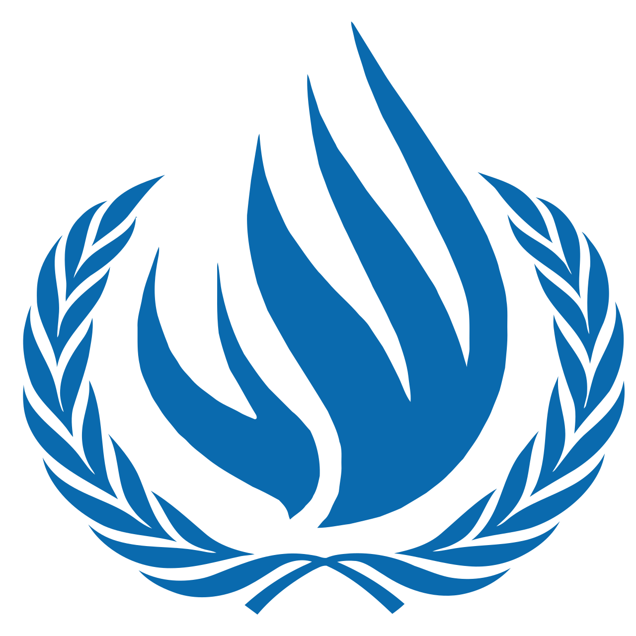 Office of the United Nations High Commissioner for Human Rights